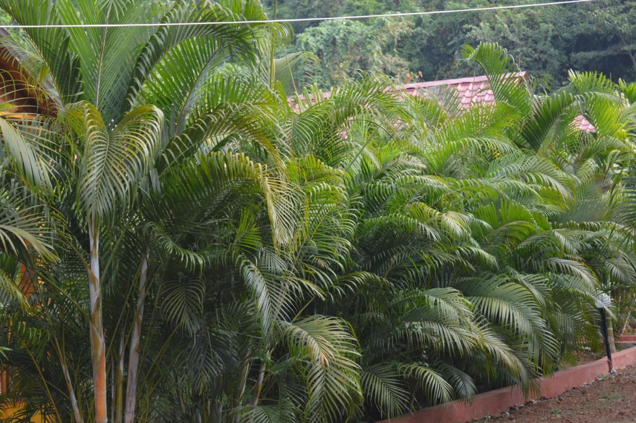 Kings Villa Resort Bãi biển Bãi biển Palolem Ngoại thất bức ảnh