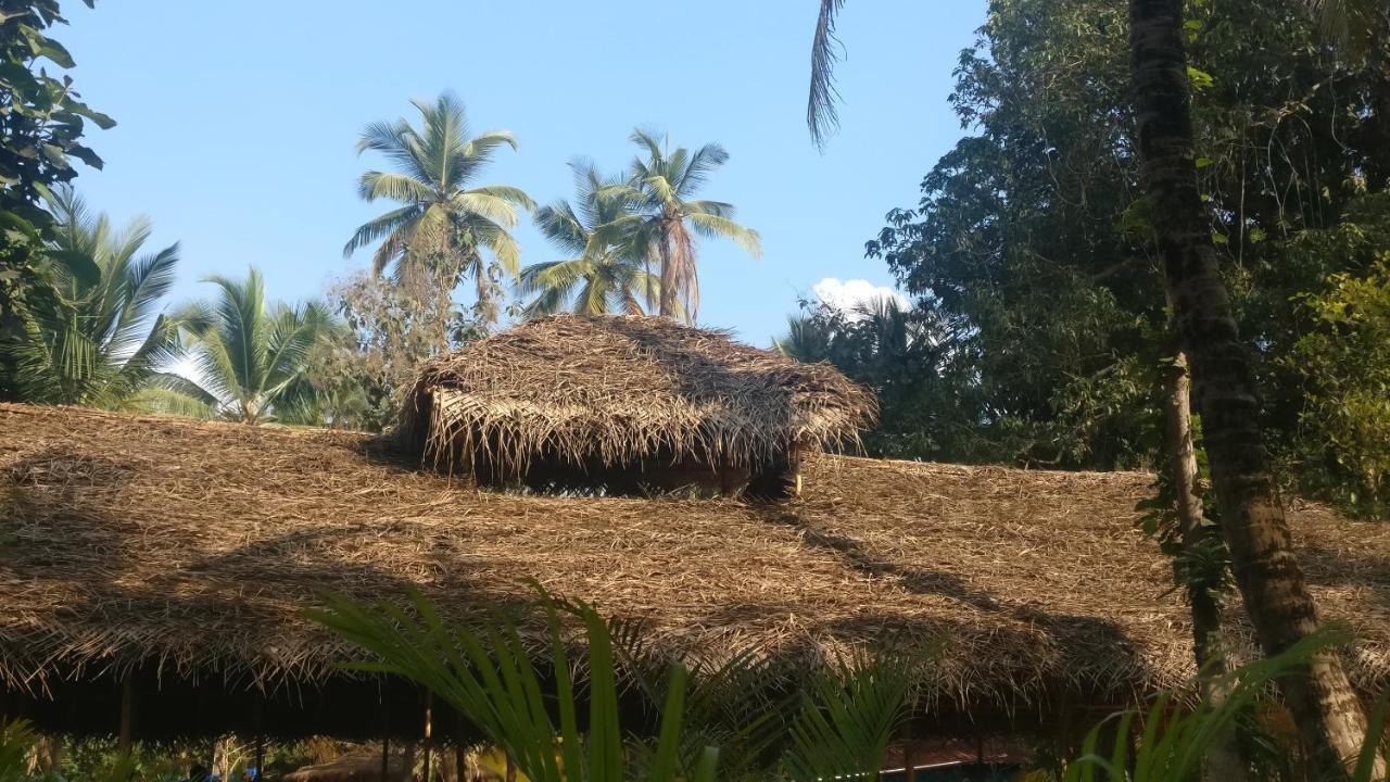 Kings Villa Resort Bãi biển Bãi biển Palolem Ngoại thất bức ảnh