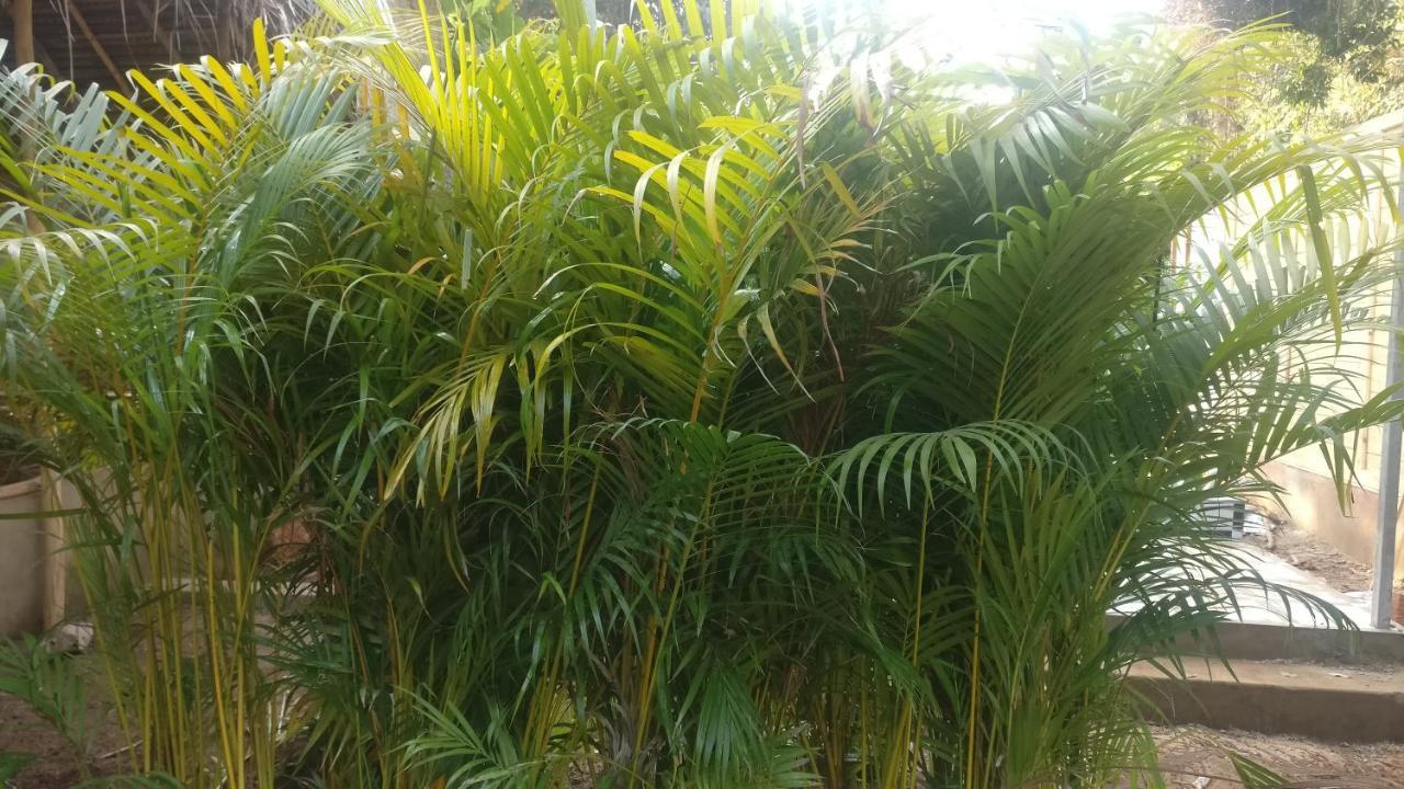 Kings Villa Resort Bãi biển Bãi biển Palolem Ngoại thất bức ảnh